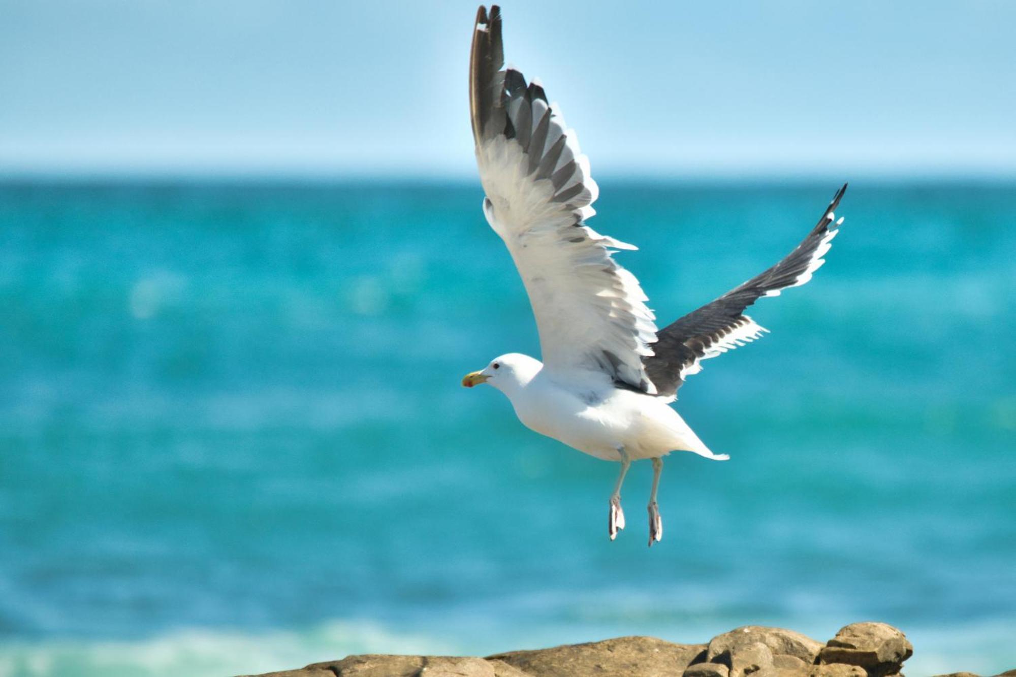 Land'S Edge Eco Friendly Cottages And Apartments Struisbaai Exterior foto